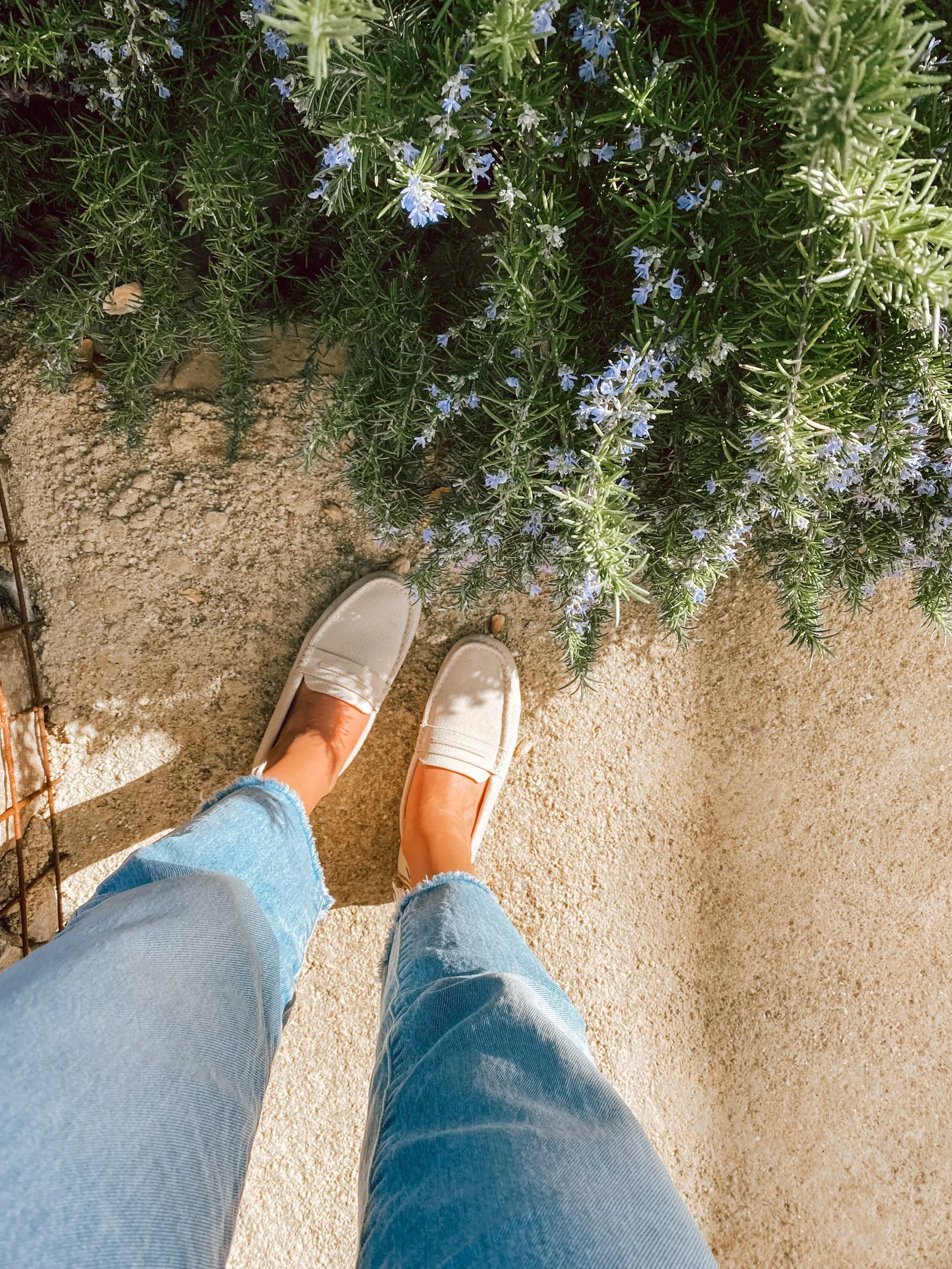 Vivian Shoes Shop -Vivian Shoes Shop IMG 0334 scaled 1